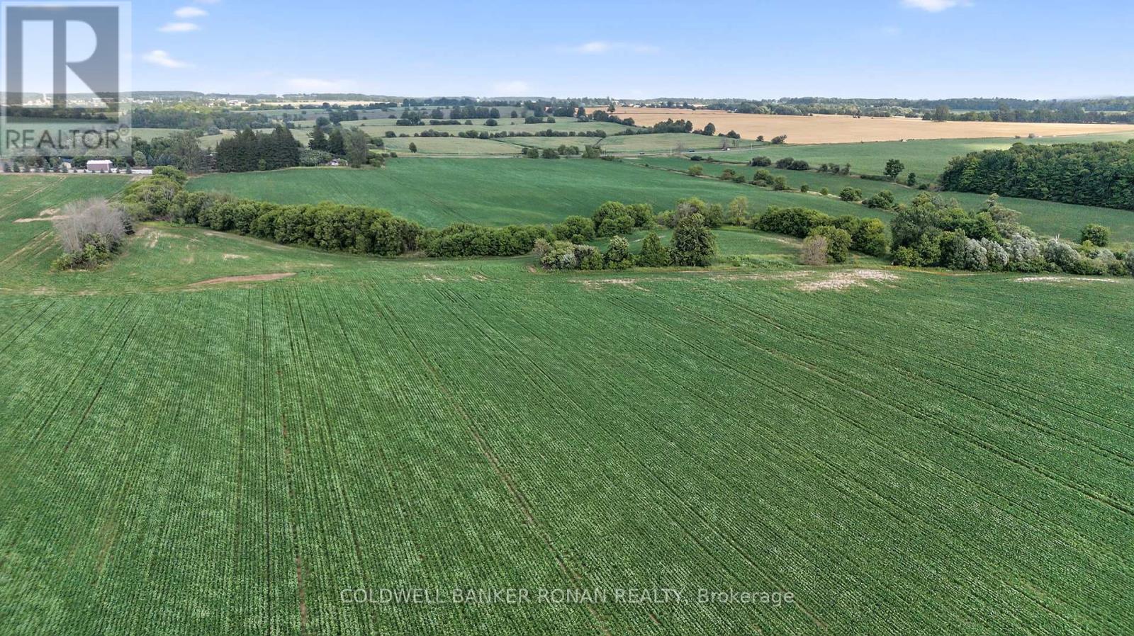 4495 Line 11, Bradford West Gwillimbury, Ontario  L0L 1L0 - Photo 18 - N12313038