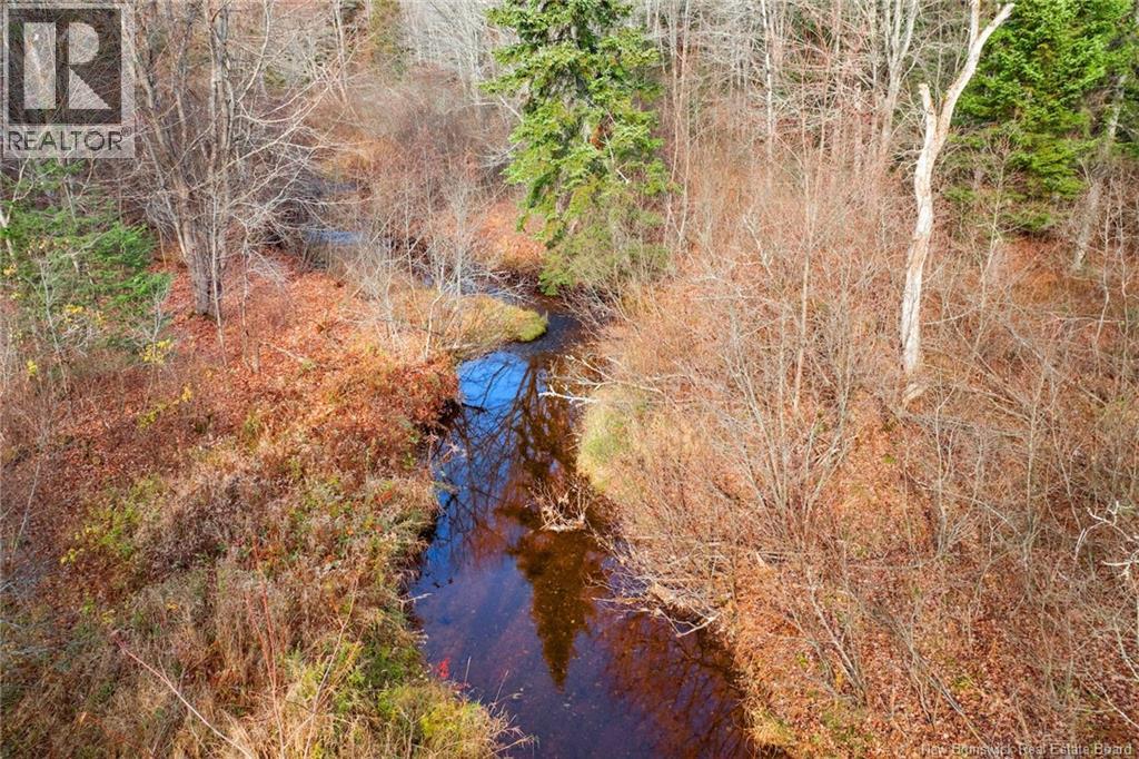 54 Landing Road, Geary, New Brunswick  E2V 3Z1 - Photo 6 - NB129837