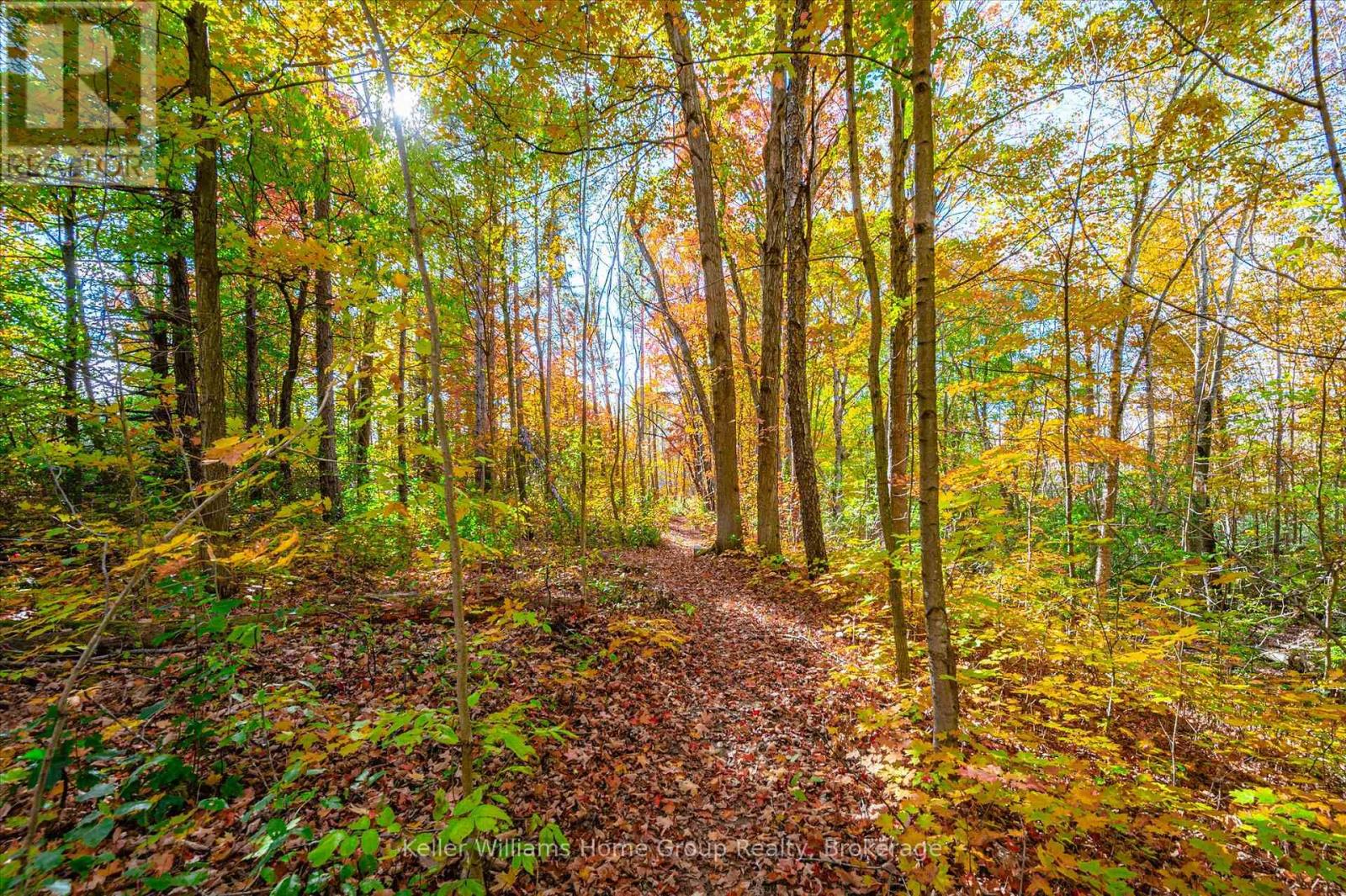 7828 Sixth Line E, Centre Wellington, Ontario N0B 1S0 - Photo 46 - X12522814