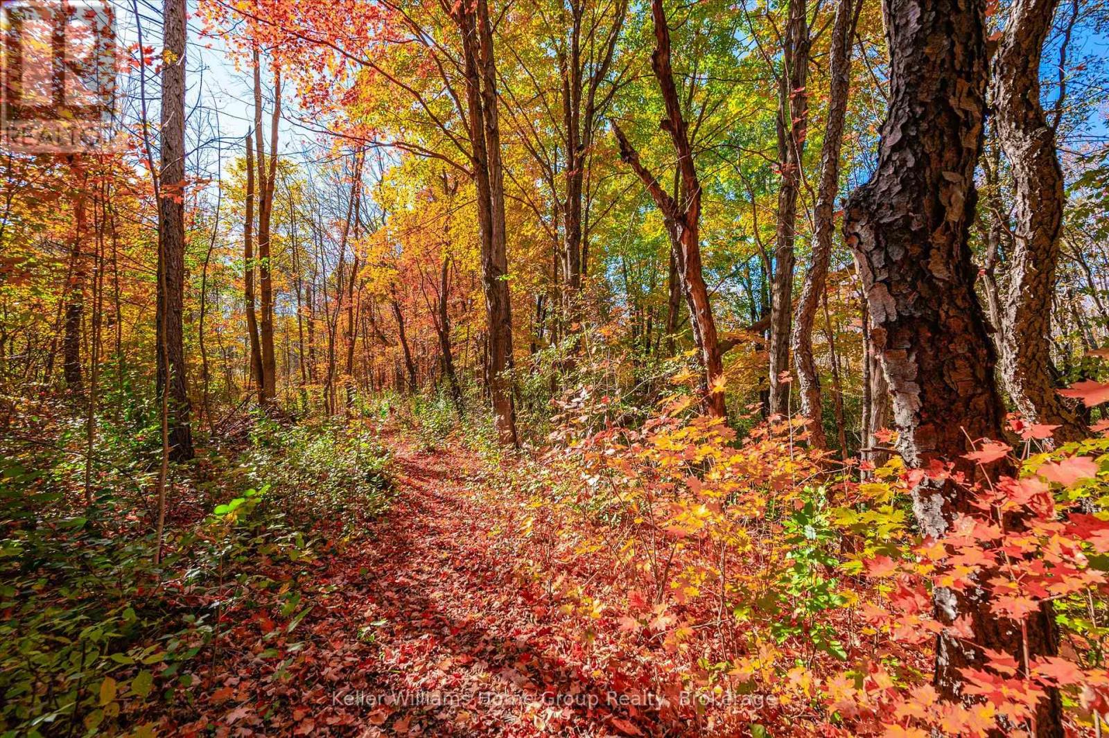 7828 Sixth Line E, Centre Wellington, Ontario N0B 1S0 - Photo 47 - X12522814