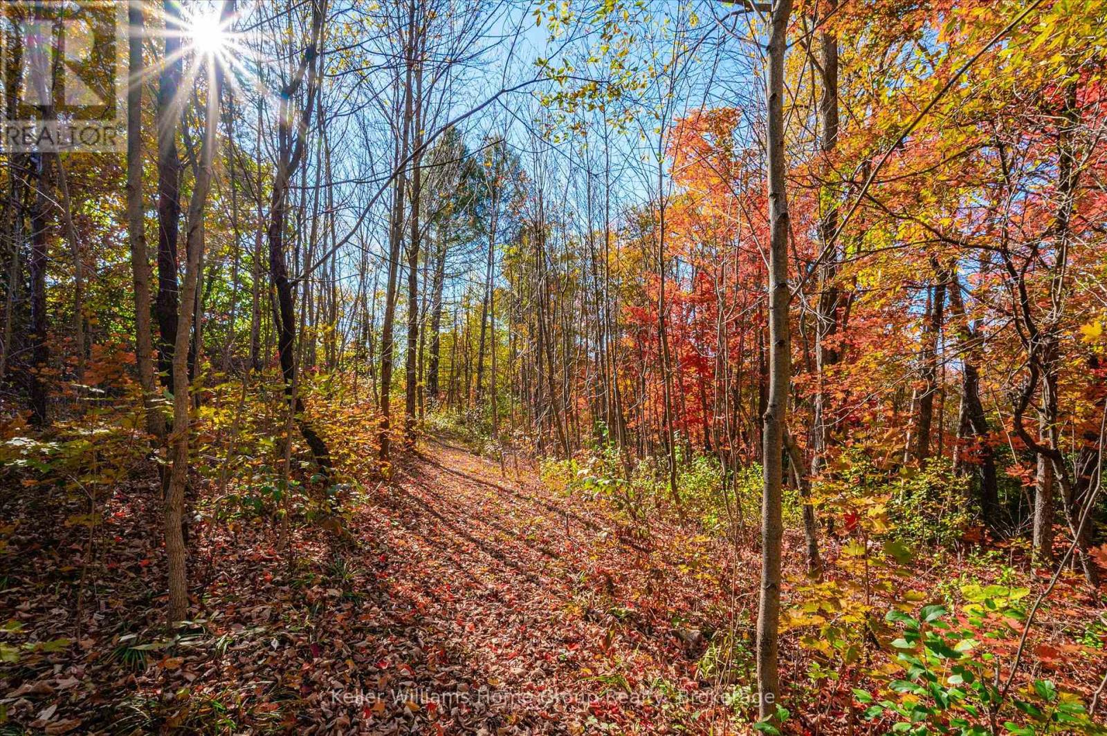 7828 Sixth Line E, Centre Wellington, Ontario N0B 1S0 - Photo 48 - X12522814