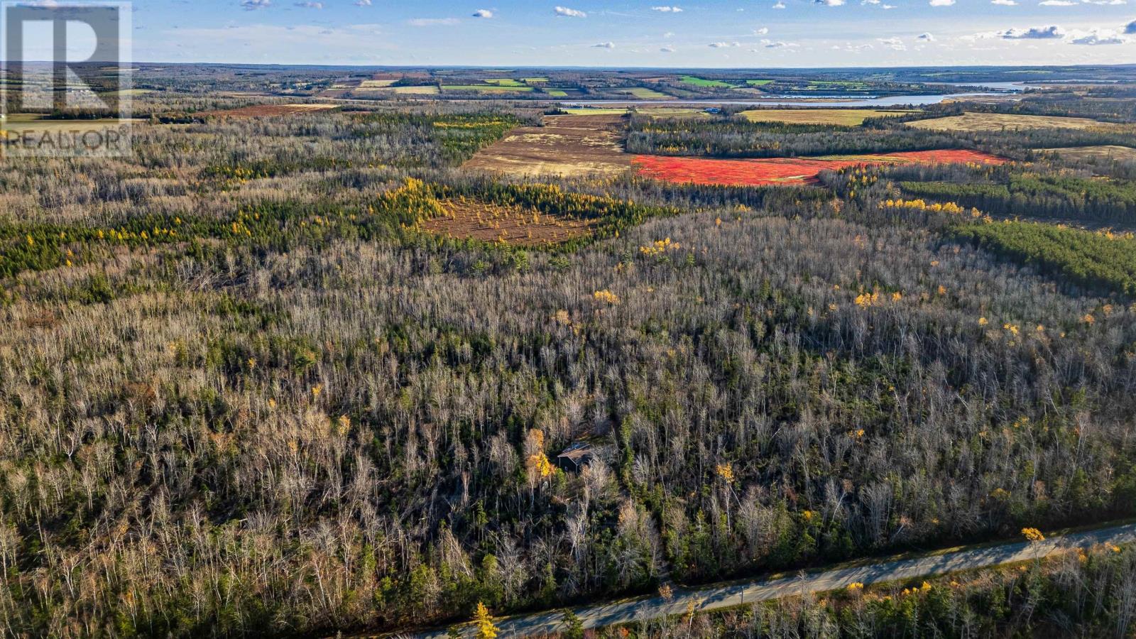 1999 Canavoy Road, St Andrew's, Prince Edward Island  C0A 1T0 - Photo 21 - 202527528