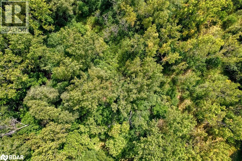 286 Tagge Crescent, Kitchener, Ontario  N2K 3R7 - Photo 27 - 40775370