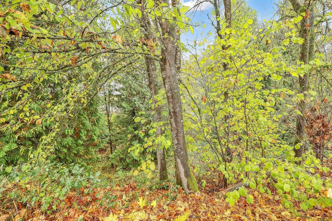 3 33123 George Ferguson Way, Abbotsford, British Columbia  V2S 2L6 - Photo 23 - R3065483