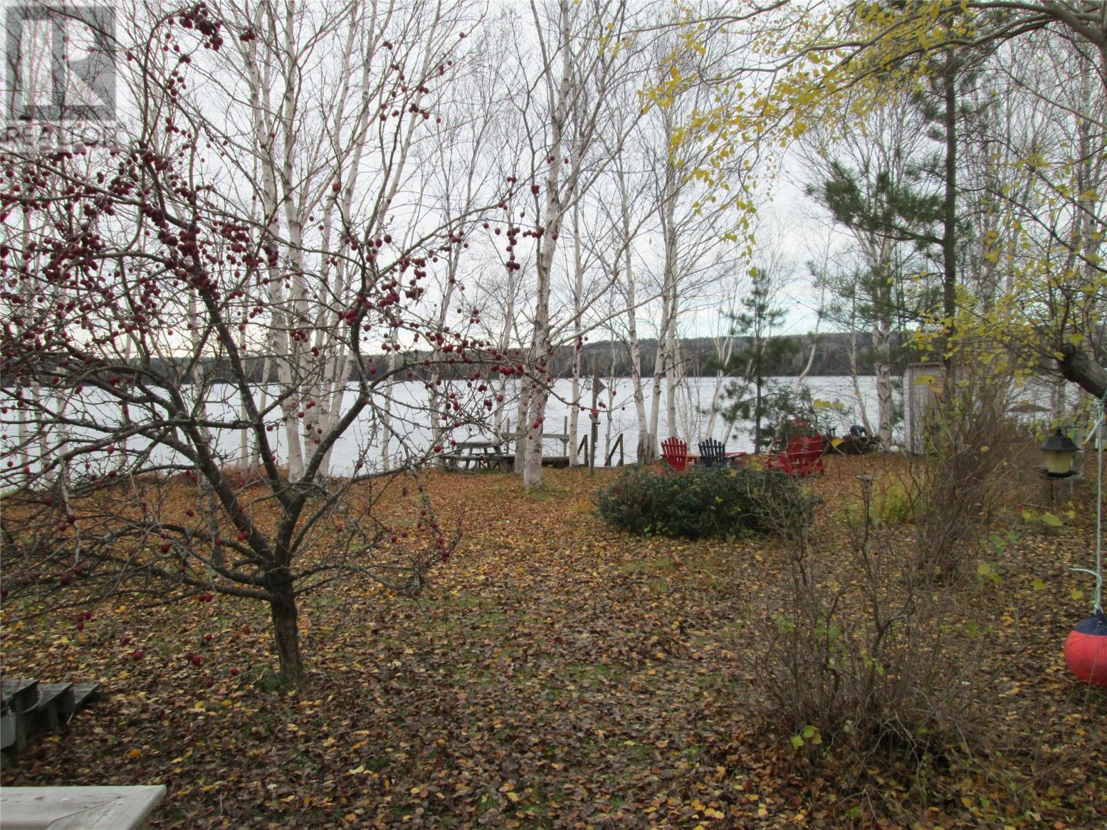 100 Sandy Point Road, Norris Arm, Newfoundland & Labrador  A0G 3M0 - Photo 13 - 1292444