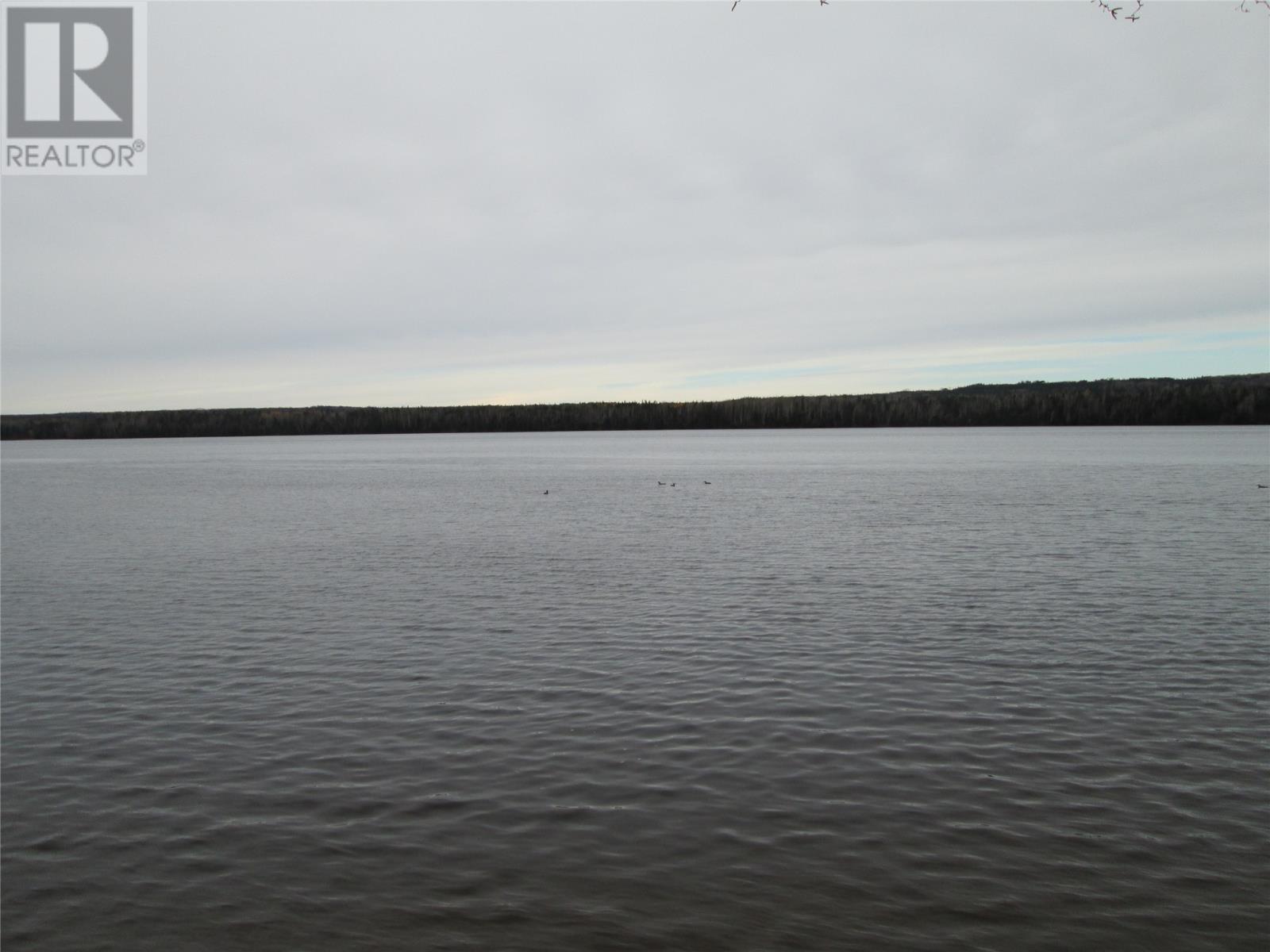 100 Sandy Point Road, Norris Arm, Newfoundland & Labrador  A0G 3M0 - Photo 16 - 1292444