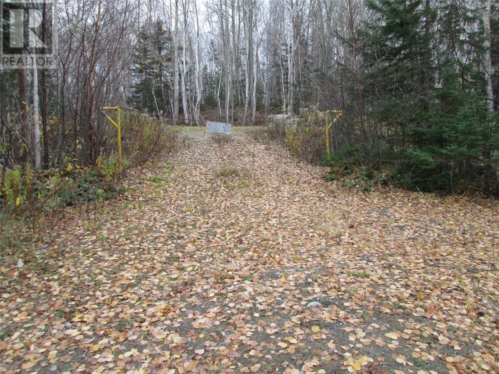 100 Sandy Point Road, Norris Arm, Newfoundland & Labrador  A0G 3M0 - Photo 49 - 1292444