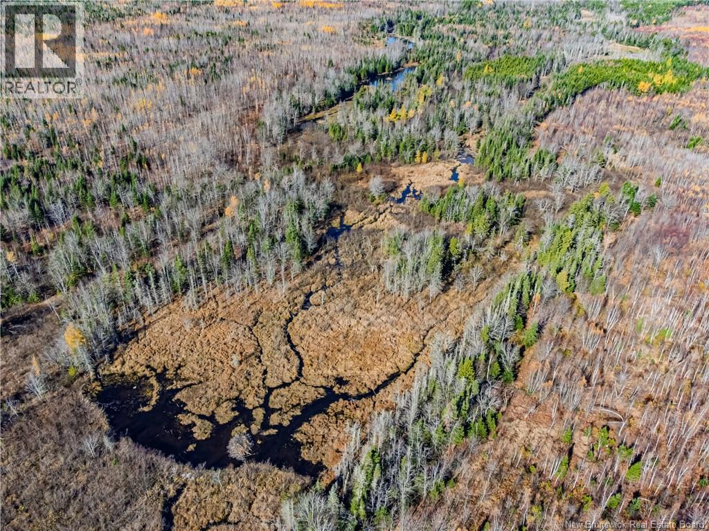 Lot Hurlett Road, Estey's Bridge, New Brunswick  E3A 8H4 - Photo 7 - NB129842