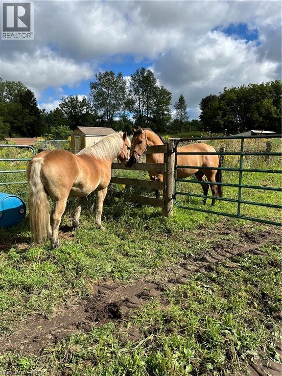 761 Lynden Road, Ancaster, Ontario  L0R 1T0 - Photo 20 - 40768340