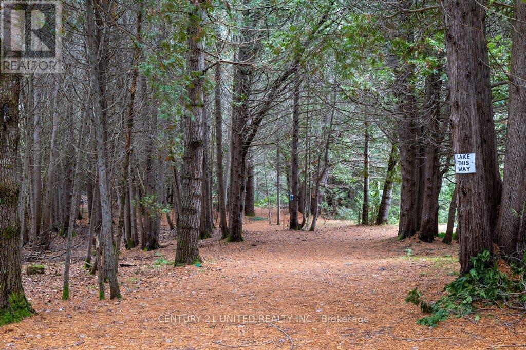 1080 Clydesdale Road, North Kawartha, Ontario K0L 1A0 - Photo 43 - X12523180