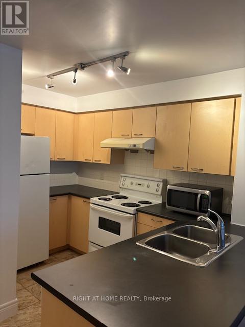 312 - 48 Suncrest Boulevard, Markham, Ontario L3T 7Y5 - Photo 4 - N12505914