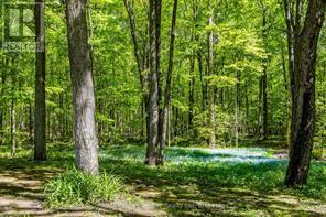 280 Conc 6 West Road W, Tiny, Ontario  L0L 2J0 - Photo 32 - S12523194