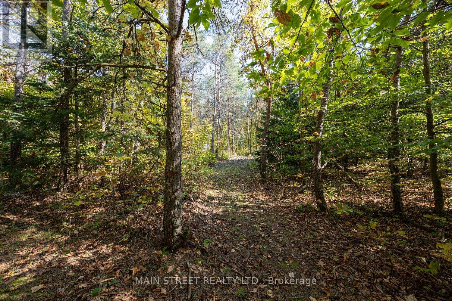 4730 Devitts Road, Scugog, Ontario  L0B 1B0 - Photo 25 - E12487633