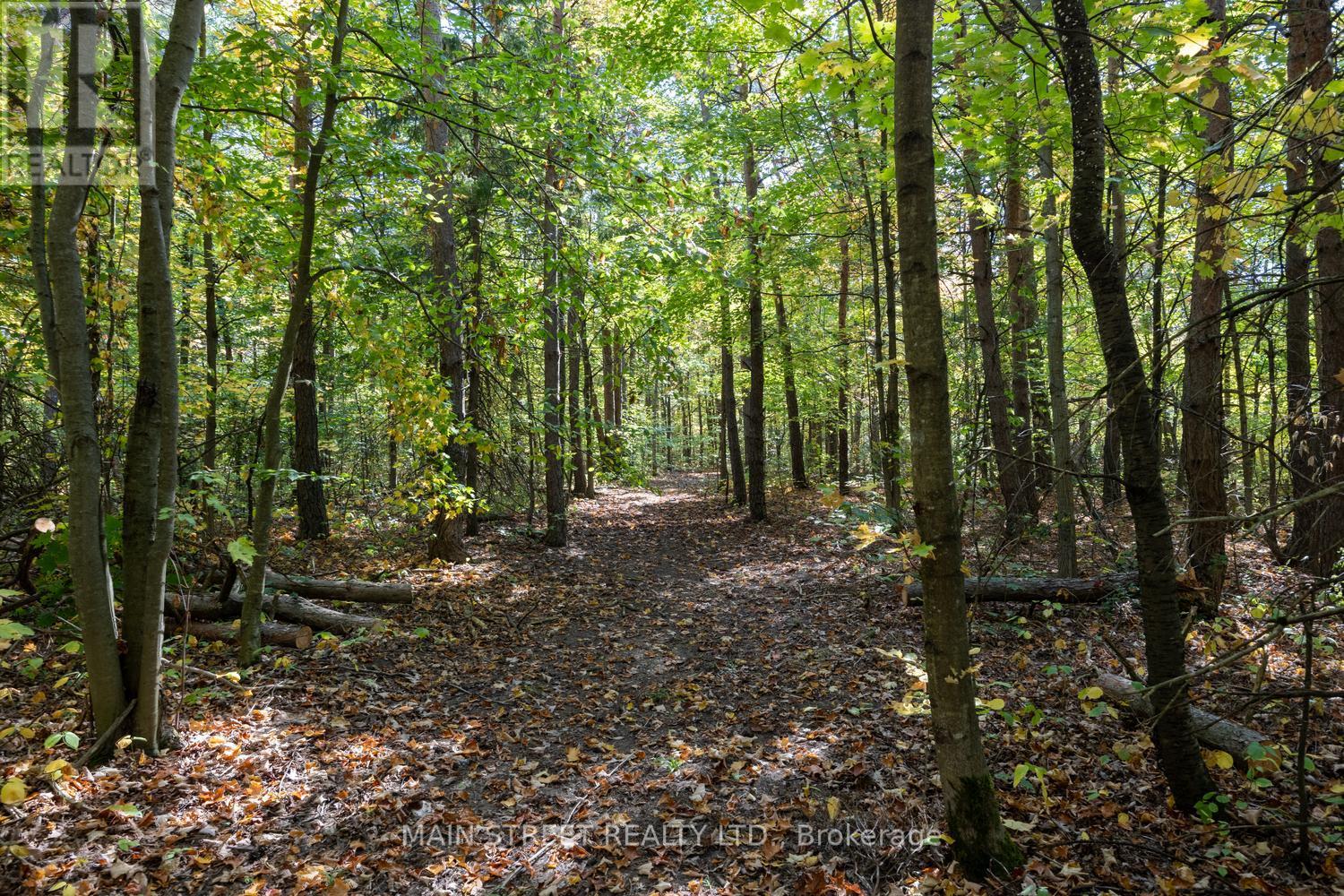 4730 Devitts Road, Scugog, Ontario  L0B 1B0 - Photo 26 - E12487633