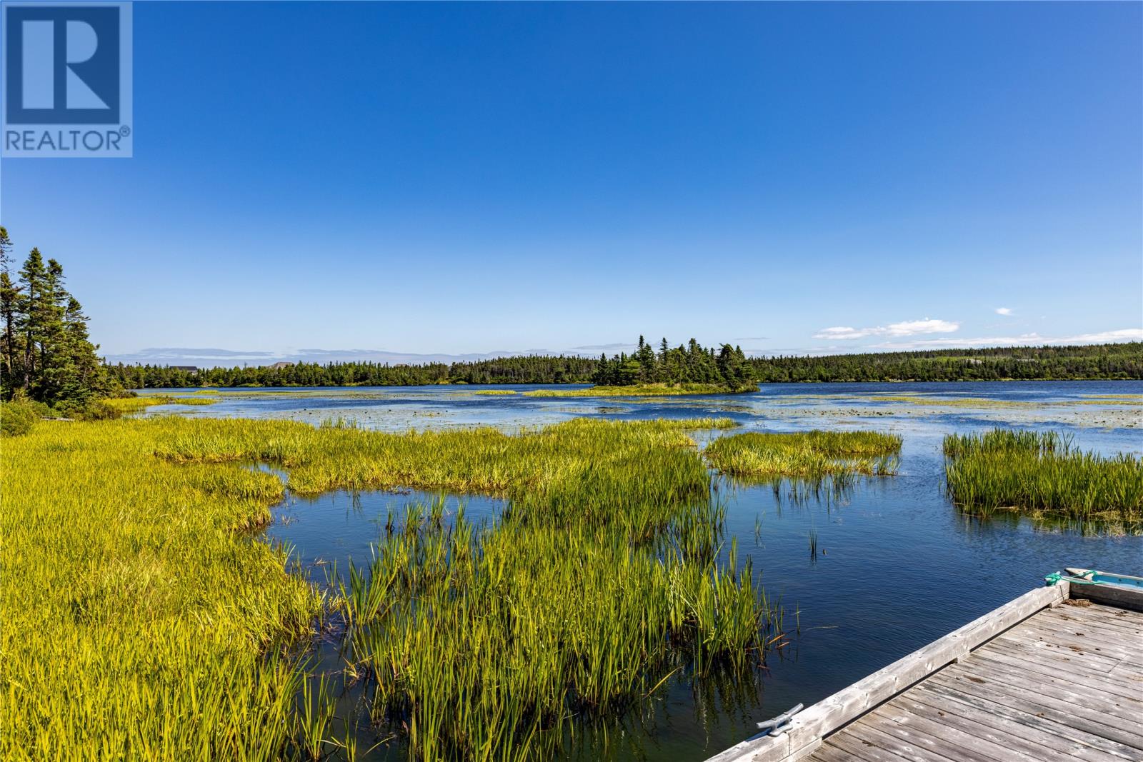 115 Western Island Pond Drive, Torbay, Newfoundland & Labrador  A1K 1M1 - Photo 37 - 1289569