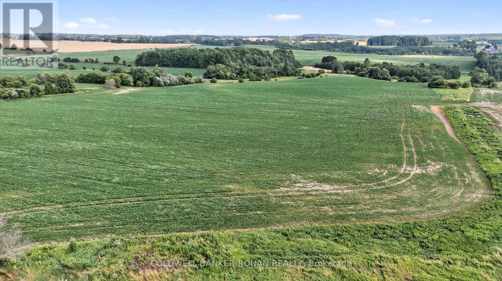 4495 Line 11, Bradford West Gwillimbury, Ontario  L0L 1L0 - Photo 15 - N12313041