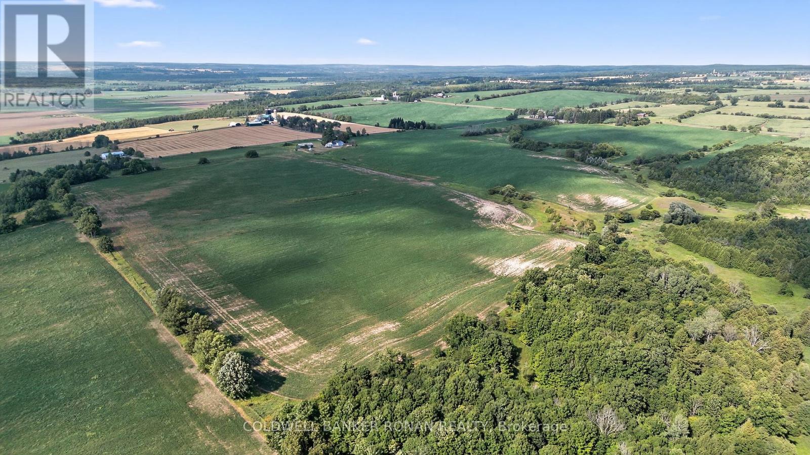 4495 Line 11, Bradford West Gwillimbury, Ontario  L0L 1L0 - Photo 4 - N12313041