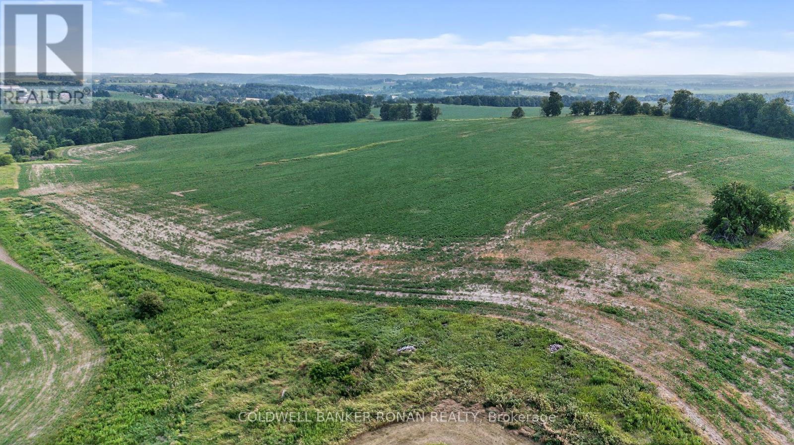 4495 Line 11, Bradford West Gwillimbury, Ontario  L0L 1L0 - Photo 16 - N12313041