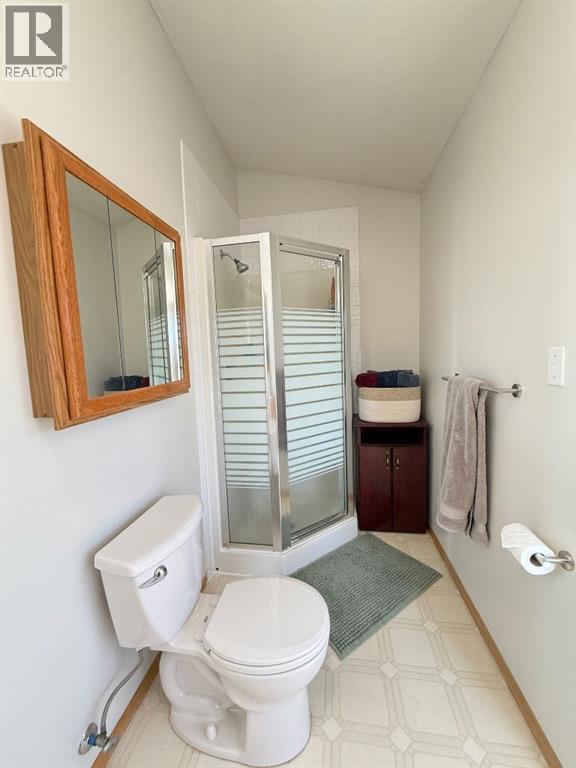 4425 Silverwood Crescent, High Prairie, Alberta  T0G 1E0 - Photo 23 - A2269128