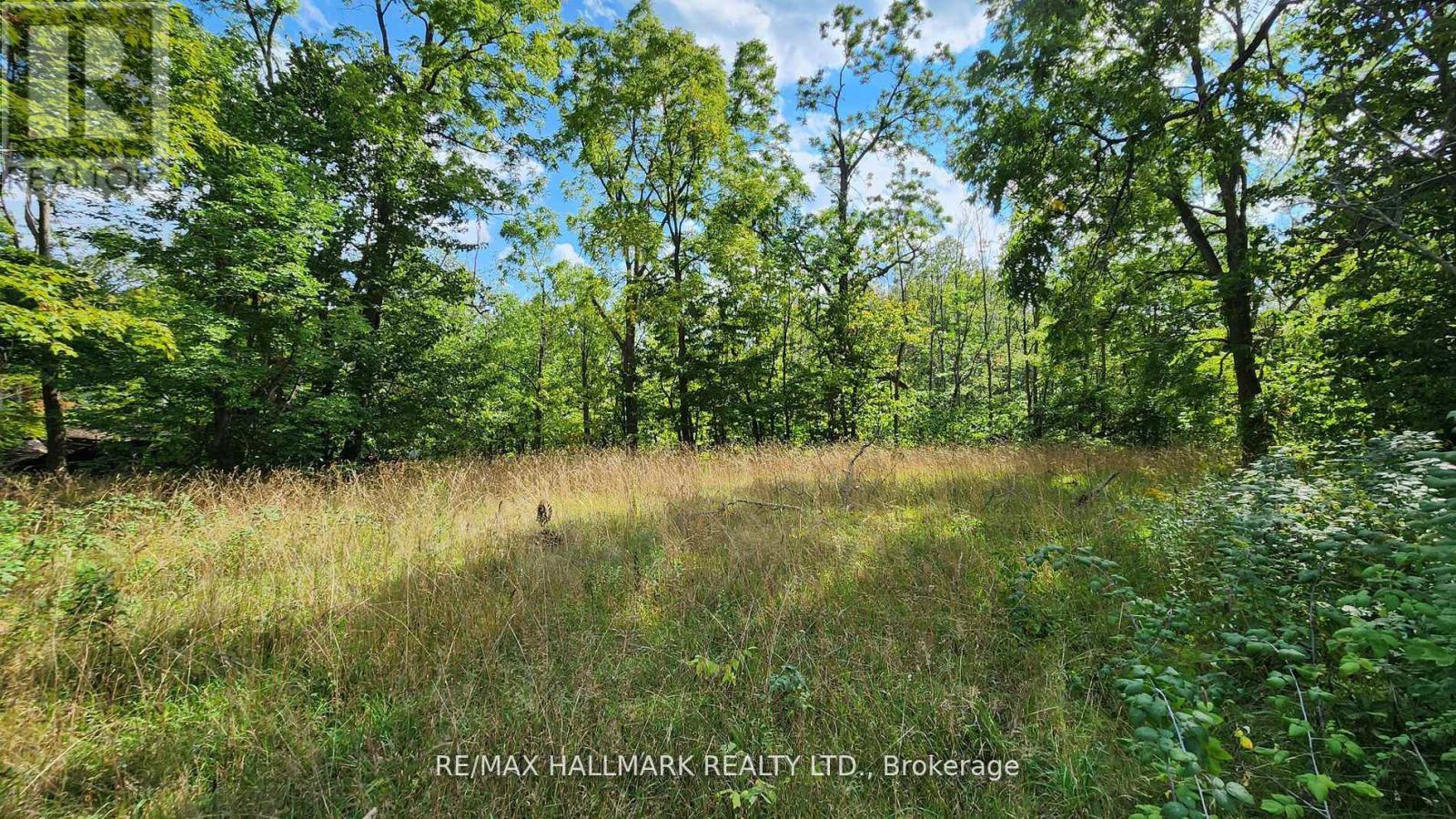 26 Lakeshore Road W, Oro-Medonte, Ontario L0L 2E0 - Photo 21 - S12523110