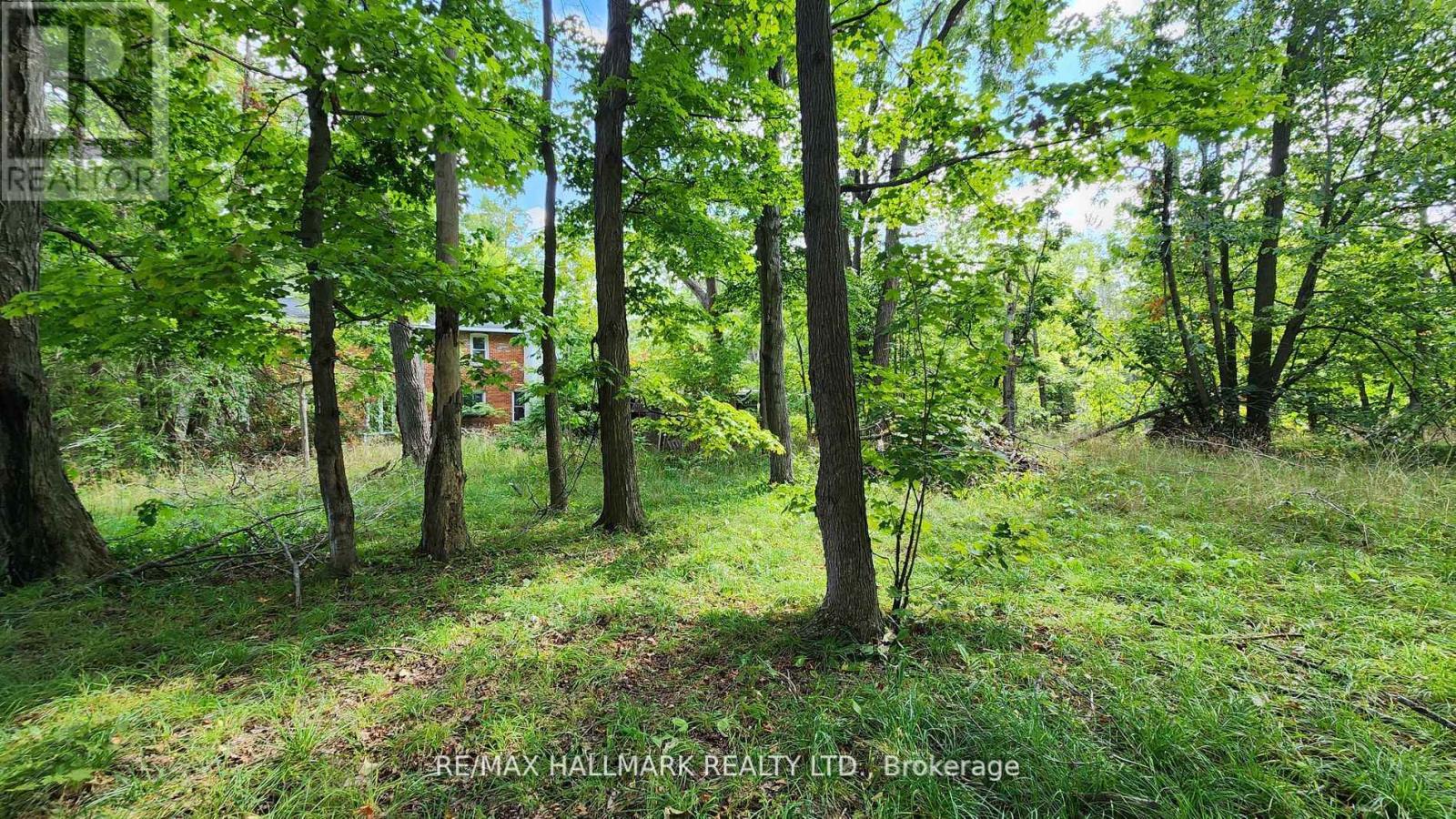 26 Lakeshore Road W, Oro-Medonte, Ontario L0L 2E0 - Photo 24 - S12523110