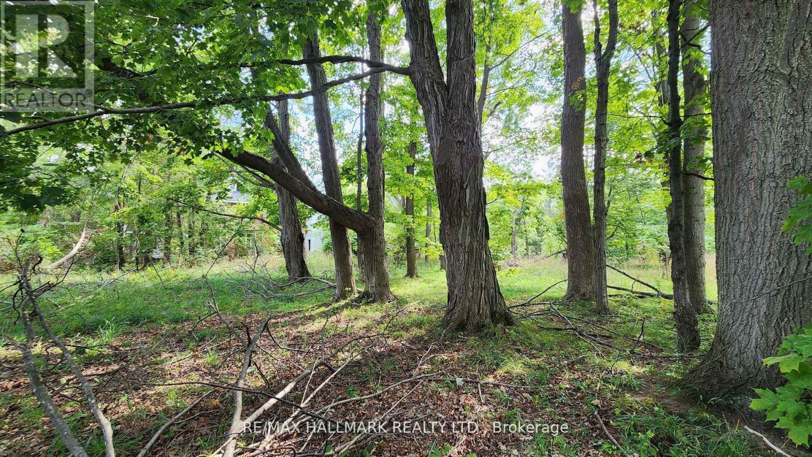 26 Lakeshore Road W, Oro-Medonte, Ontario L0L 2E0 - Photo 25 - S12523110