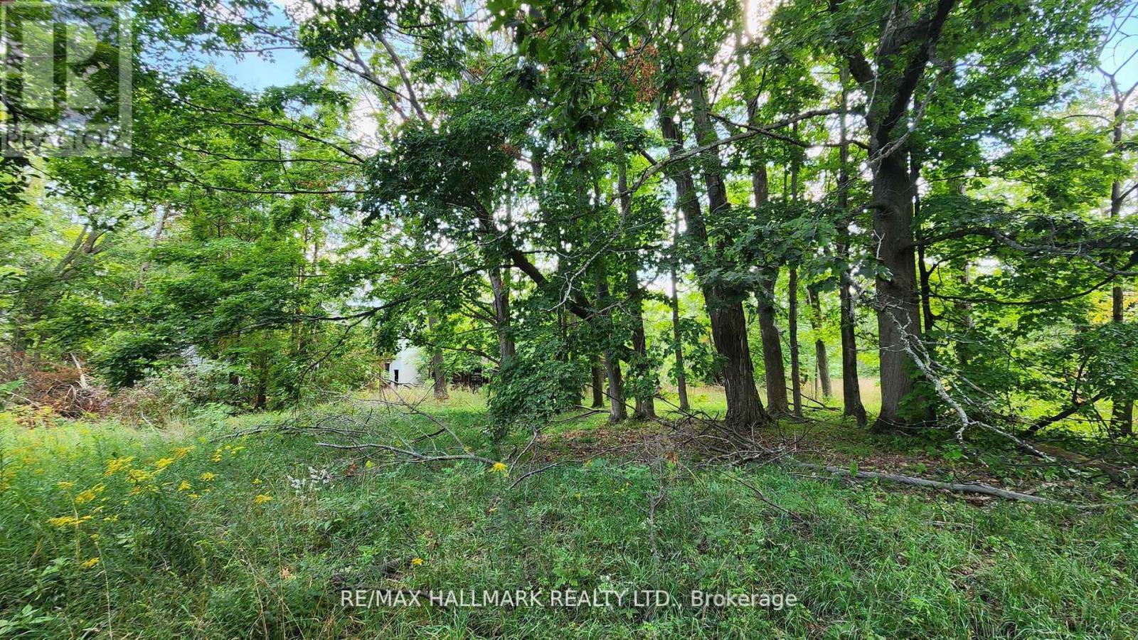 26 Lakeshore Road W, Oro-Medonte, Ontario L0L 2E0 - Photo 26 - S12523110