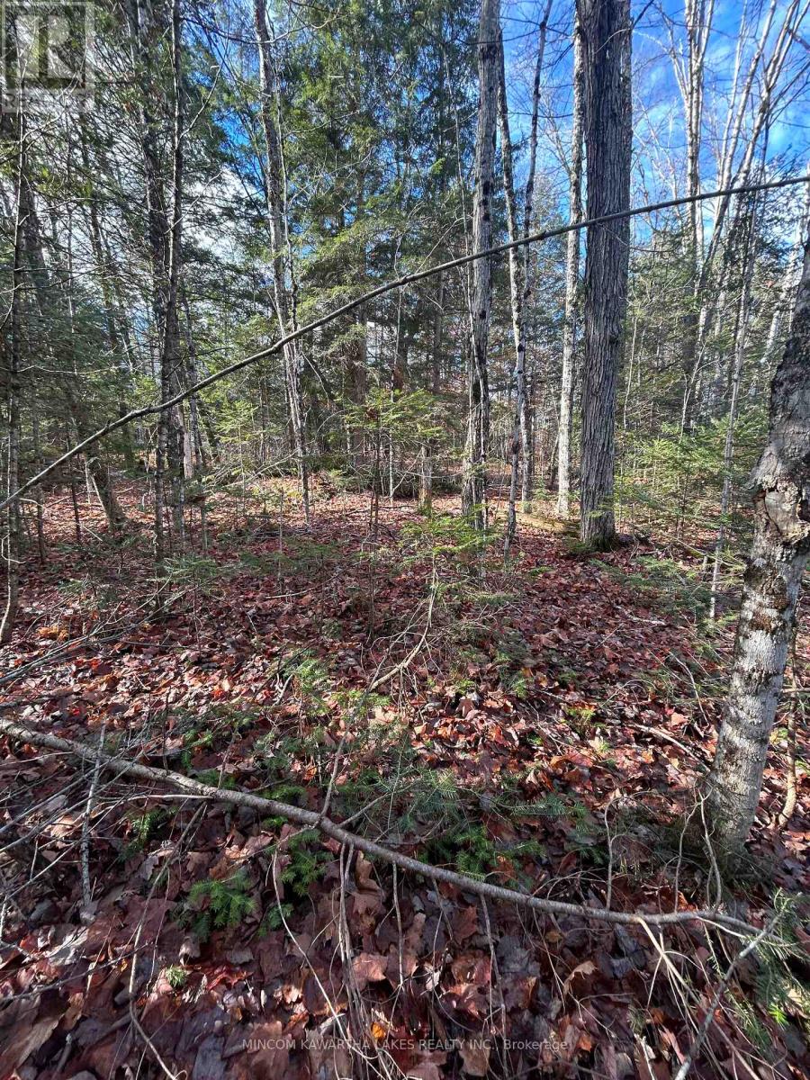 00 MILL LAKE ROAD, North Kawartha, Ontario