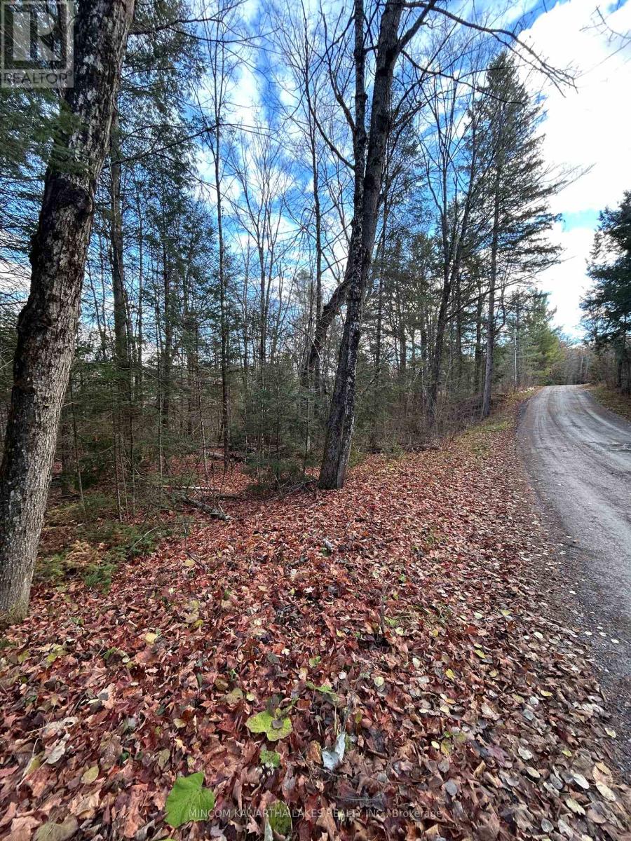 00 Mill Lake Road, North Kawartha, Ontario  K0L 1A0 - Photo 11 - X12523398