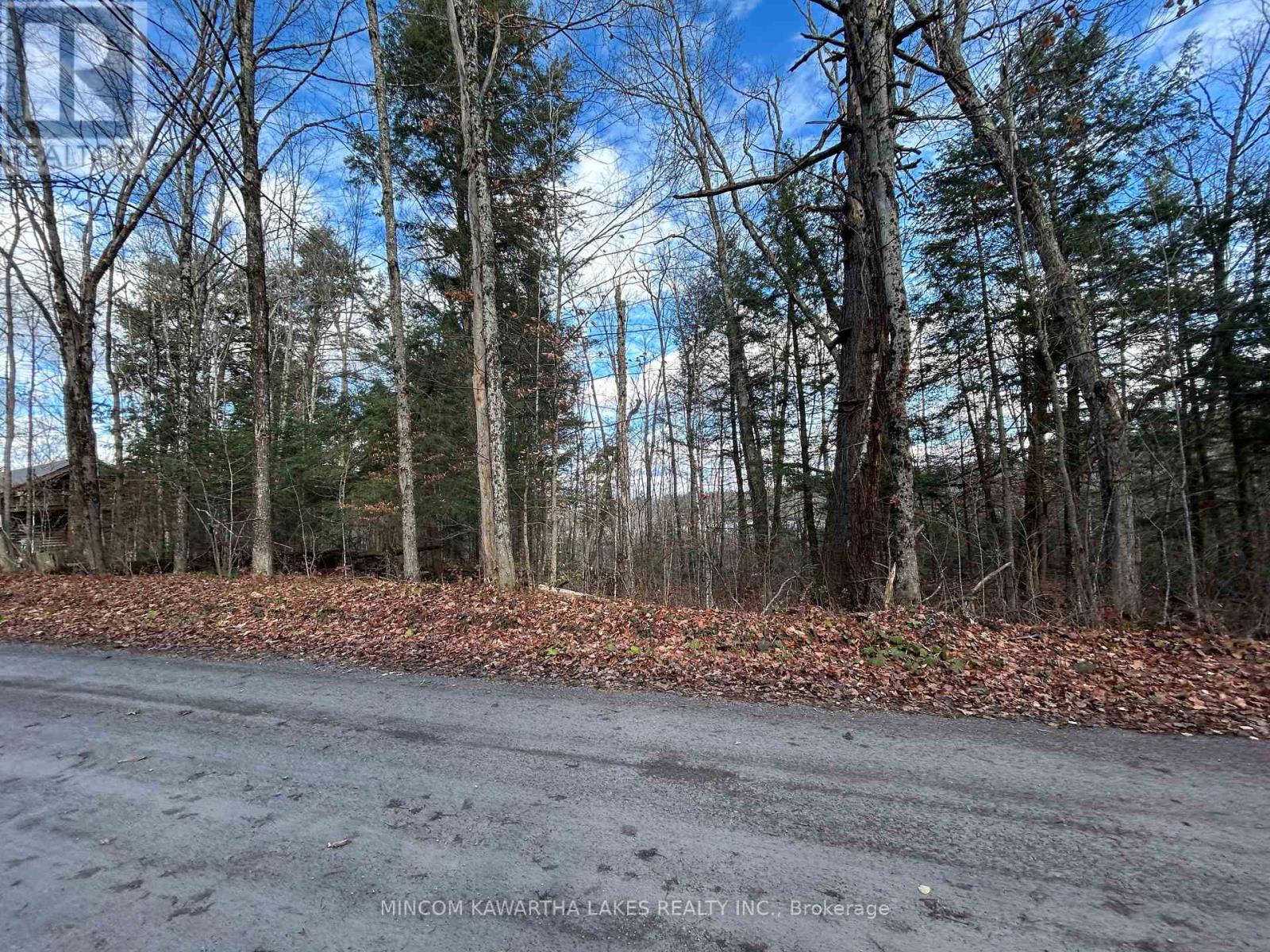 0 Mill Lake Road, North Kawartha, Ontario  K0L 1A0 - Photo 13 - X12523402