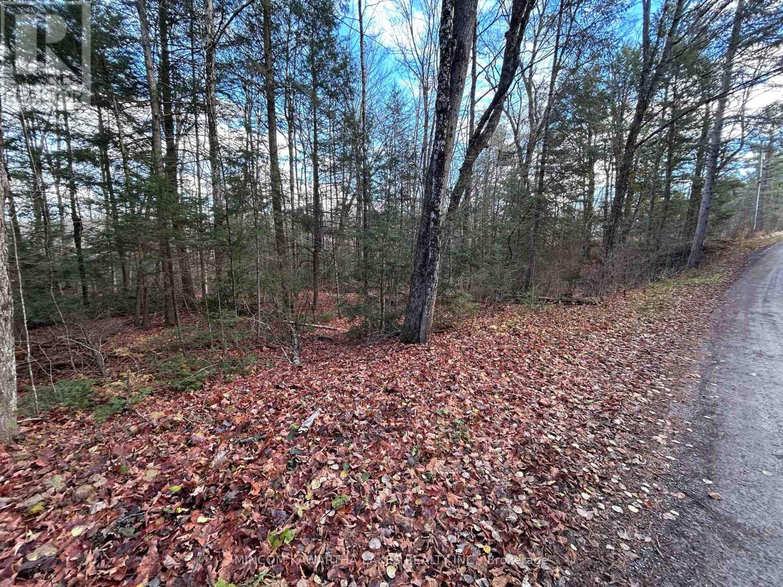 0 Mill Lake Road, North Kawartha, Ontario  K0L 1A0 - Photo 7 - X12523402