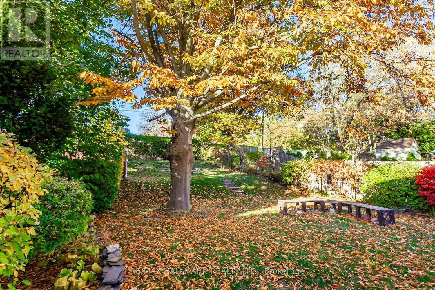 56 Delroy Drive, Toronto, Ontario  M8Y 1N2 - Photo 26 - W12523124