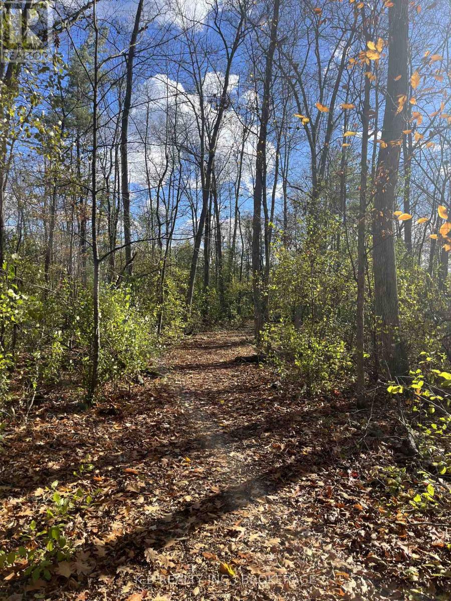 104 Cherrywood Parkway, Greater Napanee, Ontario K7R 0B1 - Photo 6 - X12513268