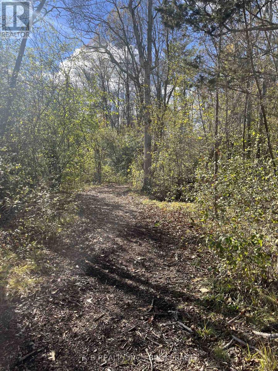 104 Cherrywood Parkway, Greater Napanee, Ontario K7R 0B1 - Photo 5 - X12513268