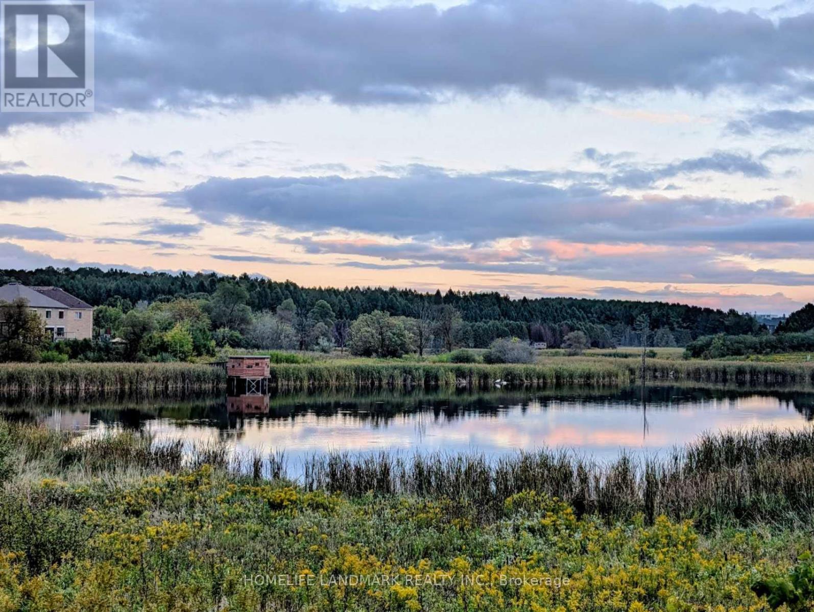 75 Pointon Street, Aurora, Ontario  L4G 0J9 - Photo 8 - N12523244