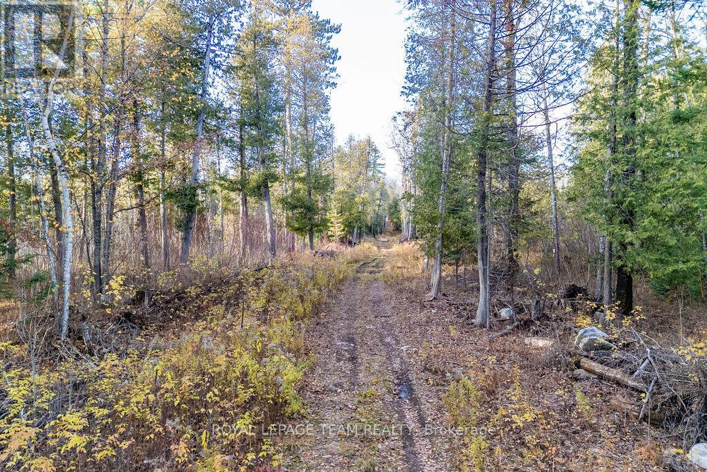 00 Wilb Con 10 Pt Lots 6,7 Rp49r4865 Part 1, North Algona Wilberforce, Ontario K0J 1T0 - Photo 14 - X12523572