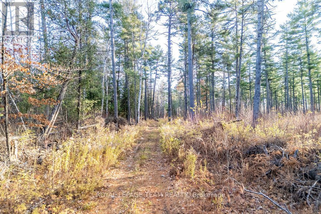 00 Wilb Con 10 Pt Lots 6,7 Rp49r4865 Part 1, North Algona Wilberforce, Ontario K0J 1T0 - Photo 15 - X12523572