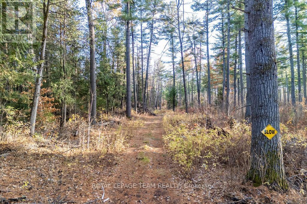 00 Wilb Con 10 Pt Lots 6,7 Rp49r4865 Part 1, North Algona Wilberforce, Ontario K0J 1T0 - Photo 16 - X12523572