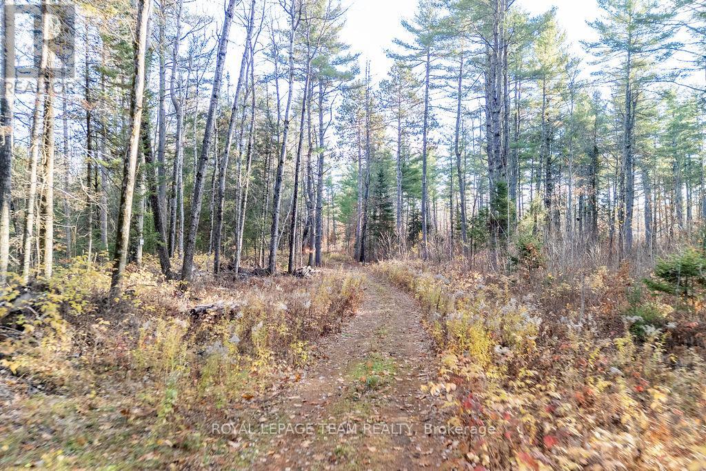 00 Wilb Con 10 Pt Lots 6,7 Rp49r4865 Part 1, North Algona Wilberforce, Ontario K0J 1T0 - Photo 17 - X12523572