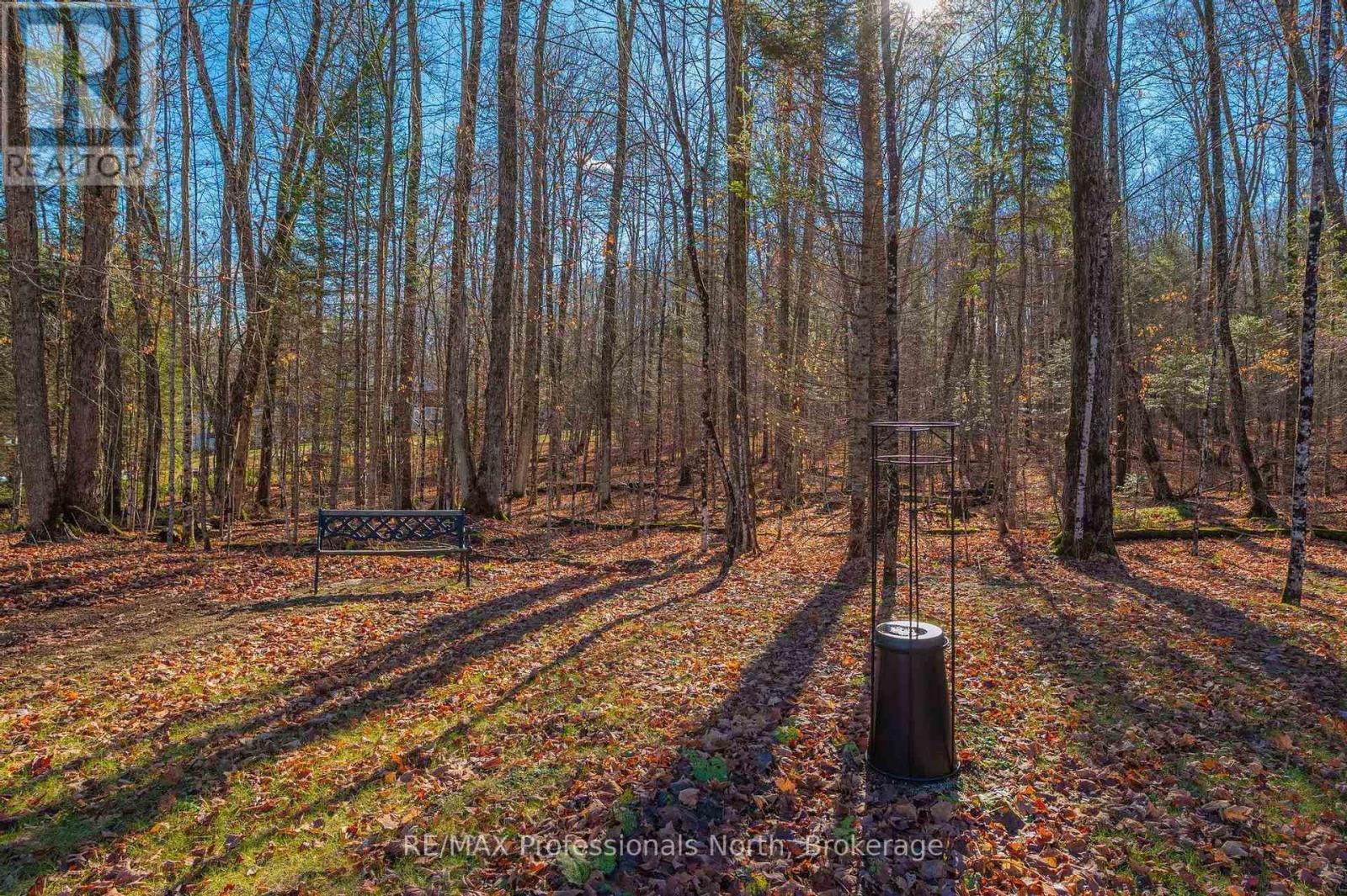 3777 Glamorgan Road, Dysart Et Al, Ontario  K0M 1S0 - Photo 47 - X12523548