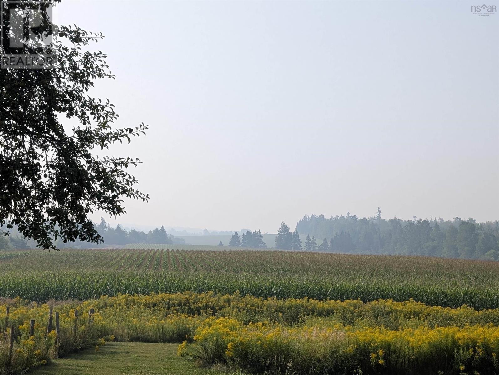 836 Higginsville Road, Brookvale, Nova Scotia  B0N 1X0 - Photo 7 - 202527466