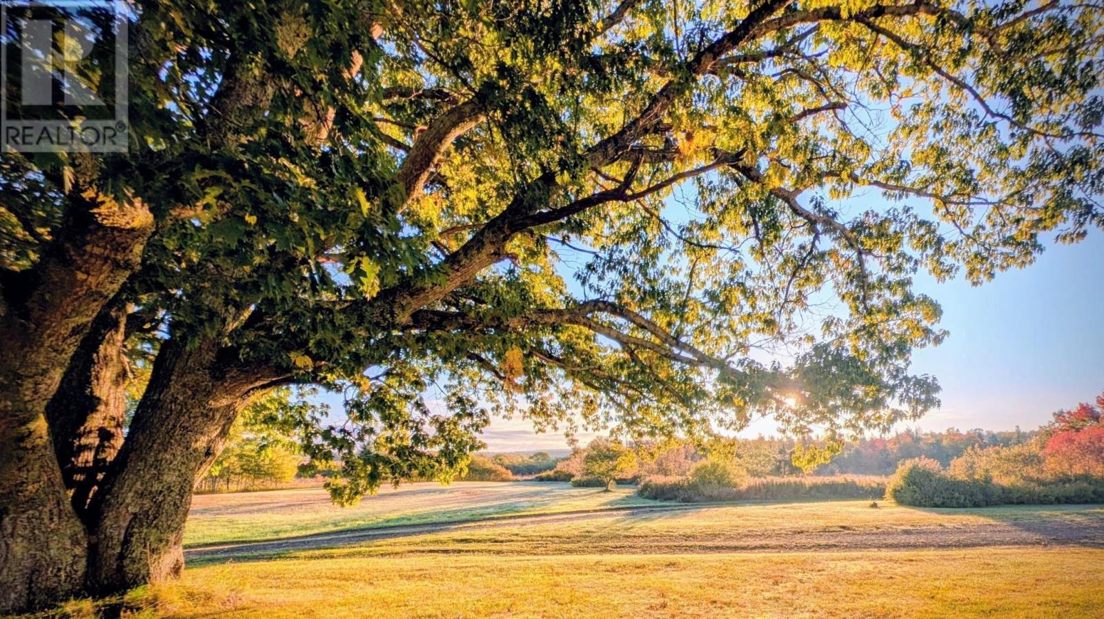 836 Higginsville Road, Brookvale, Nova Scotia  B0N 1X0 - Photo 6 - 202527466