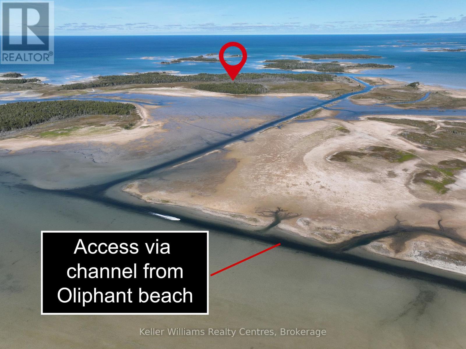 Third picture of 23 RABBIT