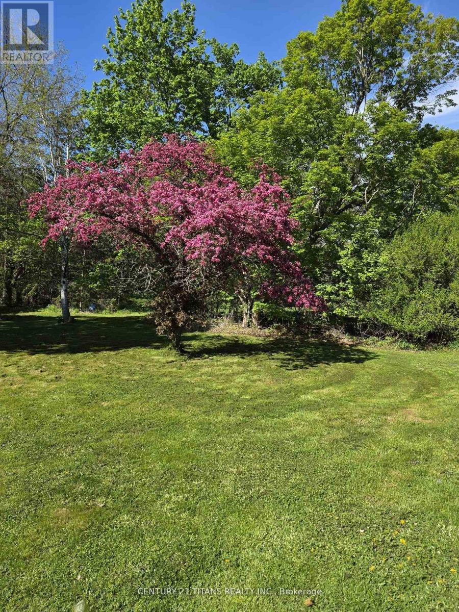 1604 Highway No. 2 Road, Clarington, Ontario  L1E 2R7 - Photo 11 - E12523468