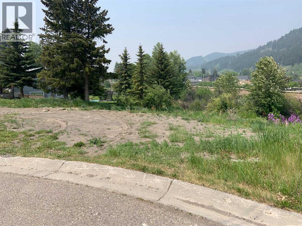 13537 19 Avenue, Blairmore, Alberta  T0K 0E0 - Photo 1 - A2193202