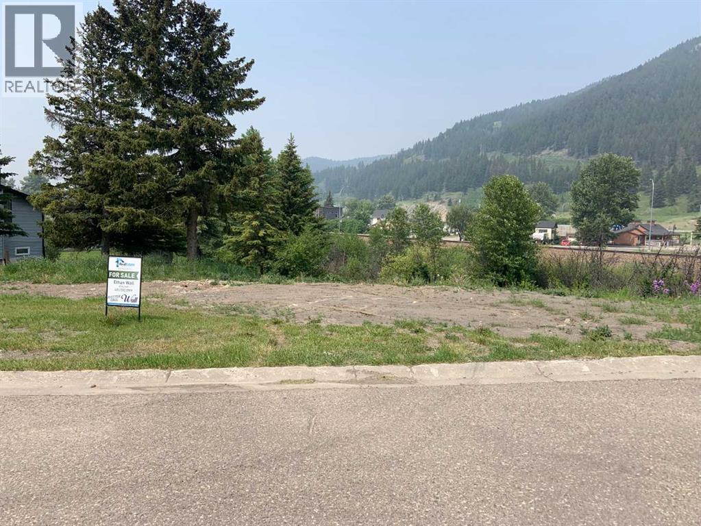 13537 19 Avenue, Blairmore, Alberta  T0K 0E0 - Photo 9 - A2193202