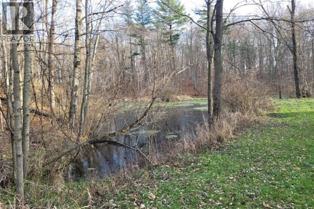 Pt Lt 22 Concession 2 Road W, Flamborough, Ontario L0R 1T0 - Photo 14 - 40786275