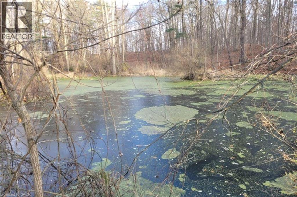 Pt Lt 22 Concession 2 Road W, Flamborough, Ontario L0R 1T0 - Photo 15 - 40786275