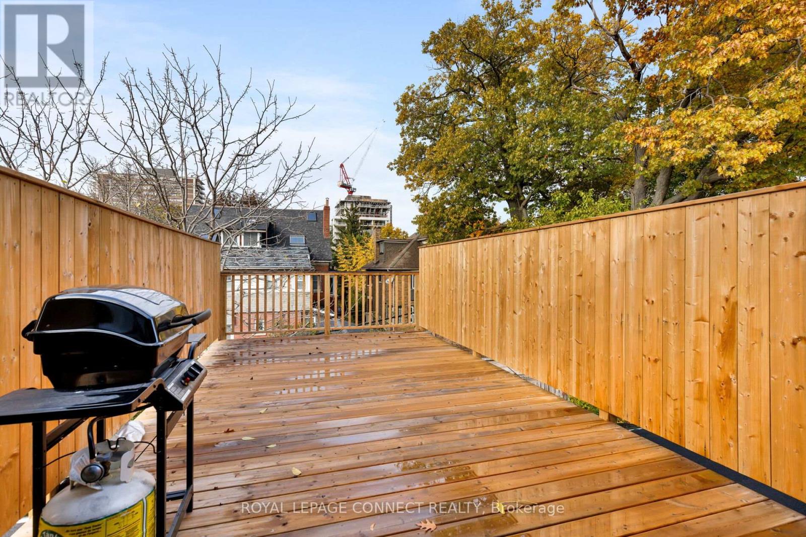 16 Rosemount Avenue, Toronto, Ontario  M6H 2M1 - Photo 33 - C12523794