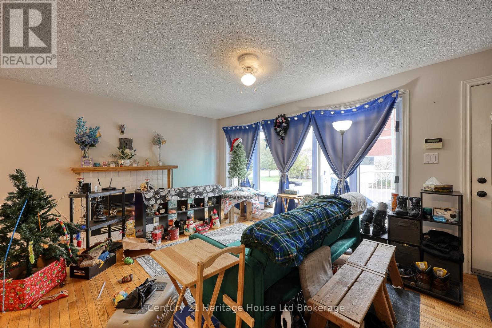 719 Peel Street, Woodstock, Ontario  N4S 1L5 - Photo 11 - X12523086